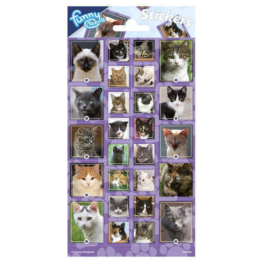 Stickervel Katten